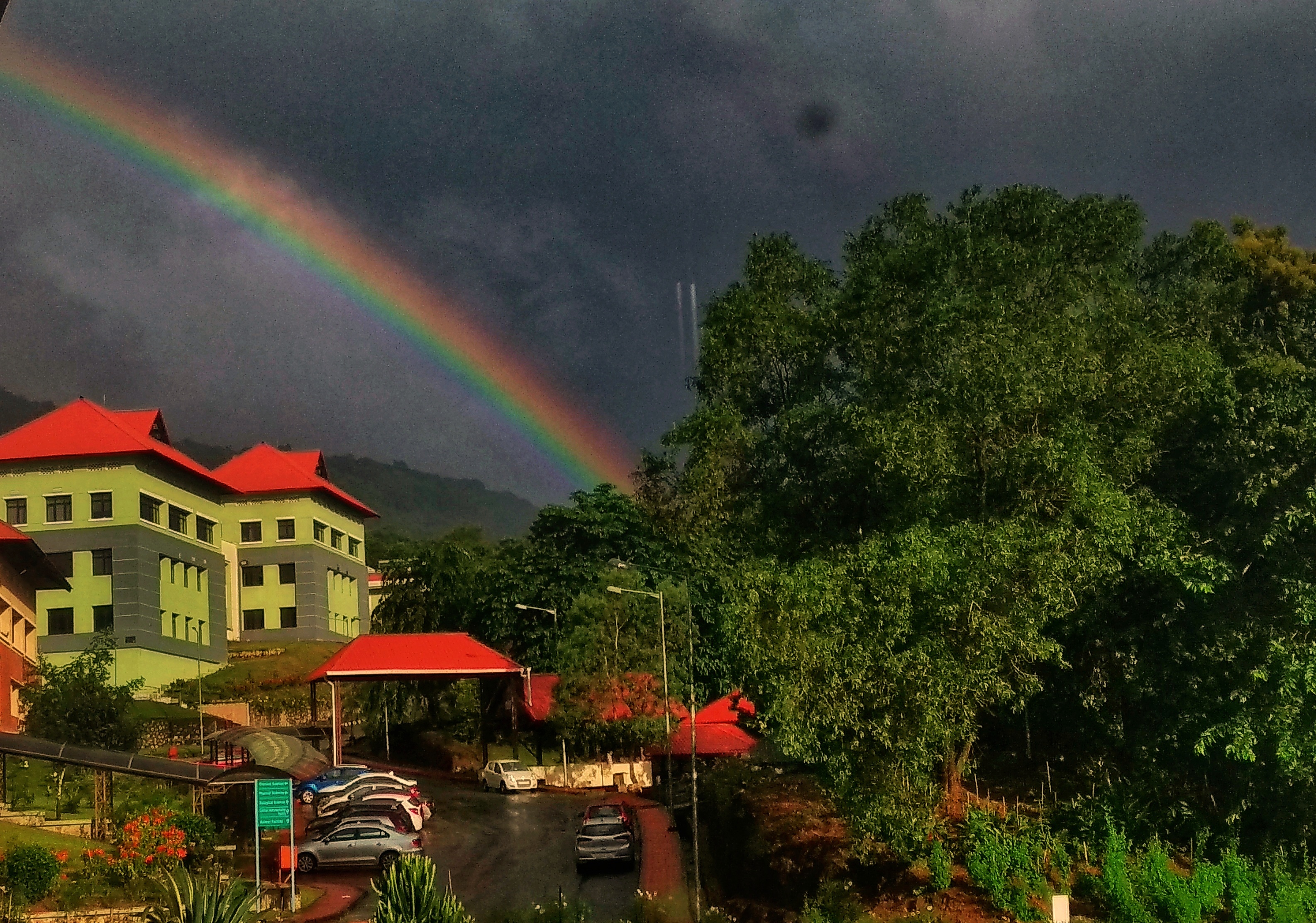Academic Block. The Biological Sciences building in green
