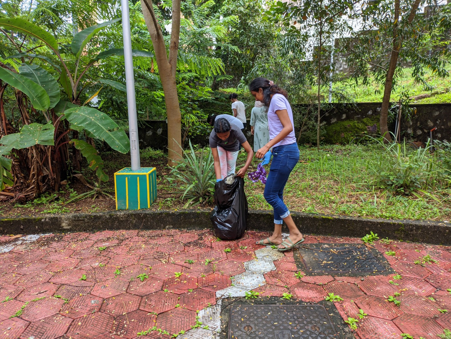 Cleanup activity Photos